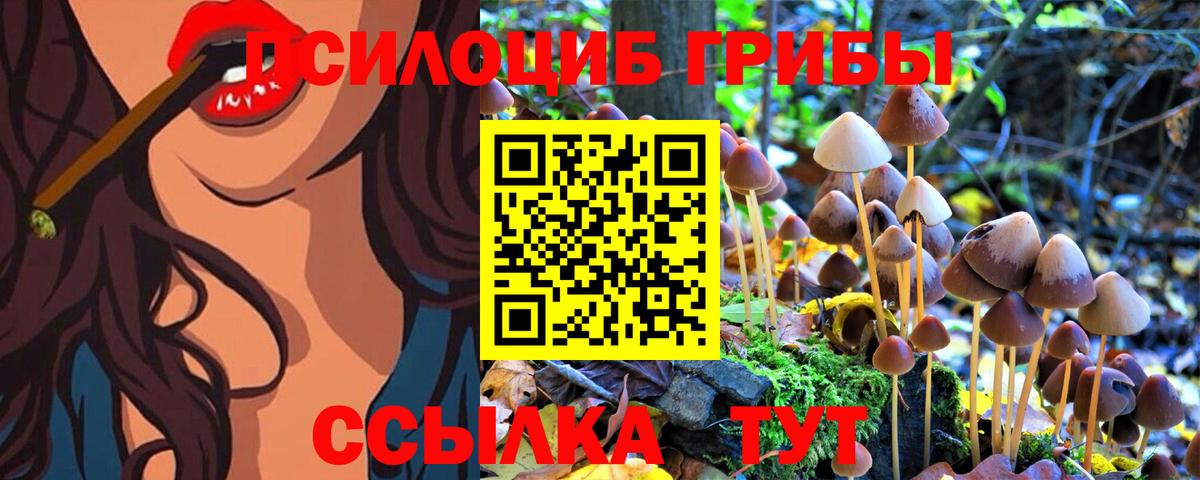 Галлюциногенные грибы Cubensis Новошахтинск
