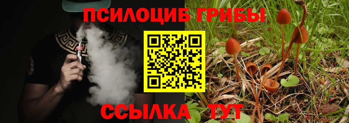 Галлюциногенные грибы MAGIC MUSHROOMS  Вход с VPN  Новошахтинск 